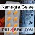 Kamagra Jelly 44
